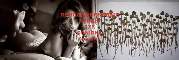 ешки Абдулино
