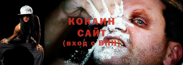 шишки Карталы