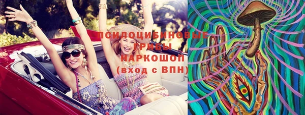 хмурый Абинск