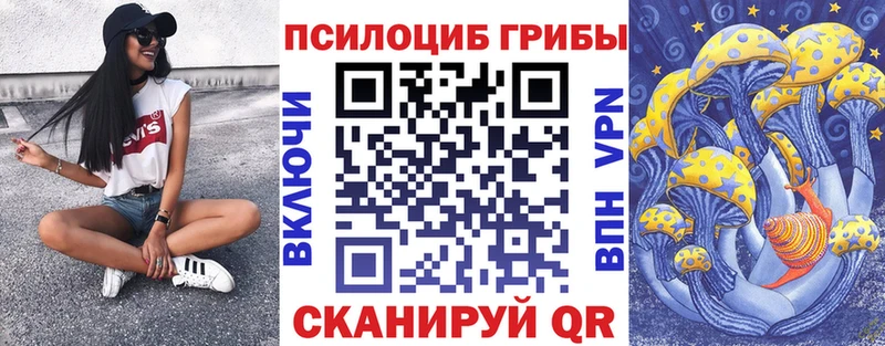 нарко площадка телеграм  блэк спрут ссылка  Галлюциногенные грибы Magic Shrooms  Прокопьевск  купить наркотики цена 